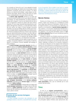 Anatomía Clínica Pró.pdf