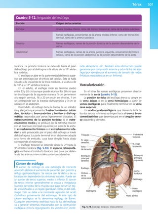 Anatomía Clínica Pró.pdf