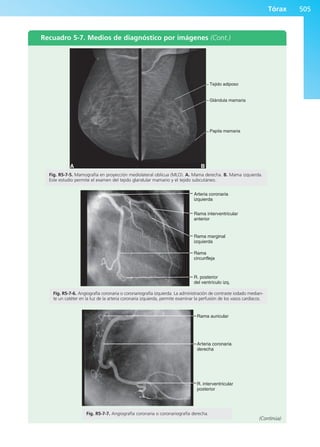 Anatomía Clínica Pró.pdf