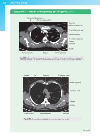Anatomía Clínica Pró.pdf