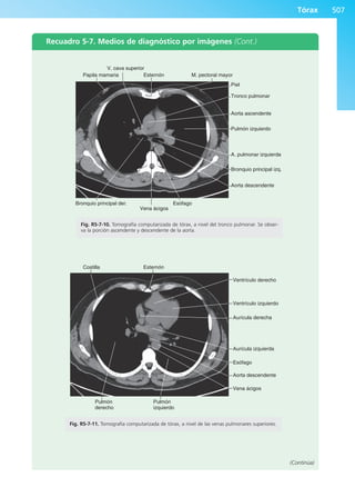 Anatomía Clínica Pró.pdf
