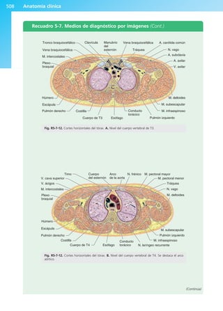 Anatomía Clínica Pró.pdf