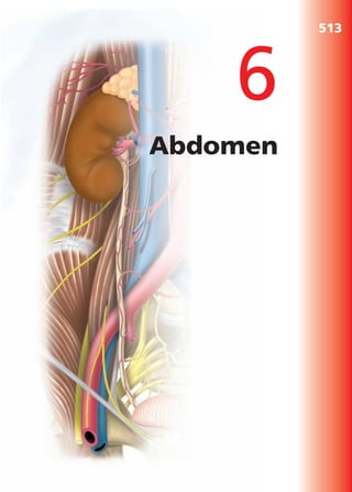 Anatomía Clínica Pró.pdf