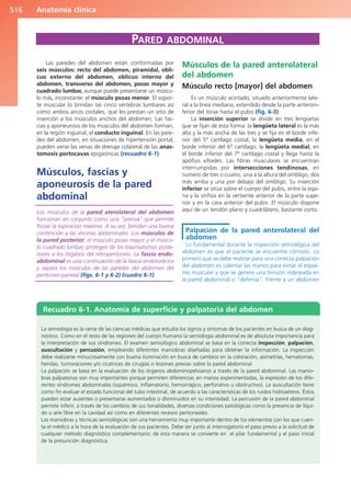 Anatomía Clínica Pró.pdf