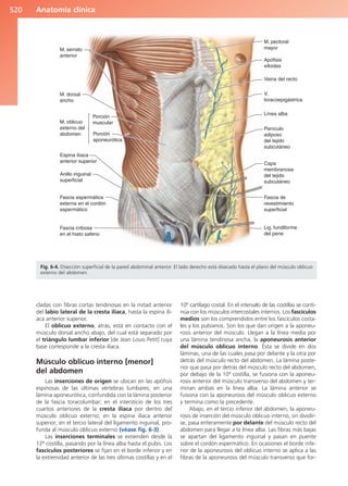 Anatomía Clínica Pró.pdf