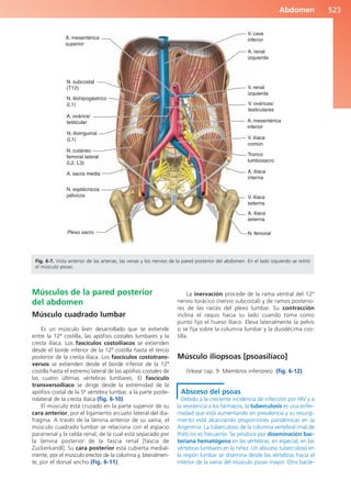 Anatomía Clínica Pró.pdf
