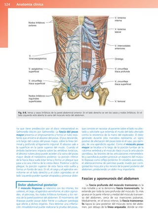Anatomía Clínica Pró.pdf