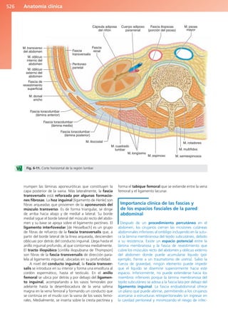 Anatomía Clínica Pró.pdf