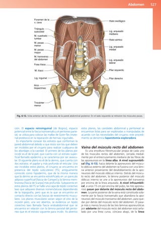 Anatomía Clínica Pró.pdf