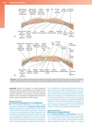 Anatomía Clínica Pró.pdf