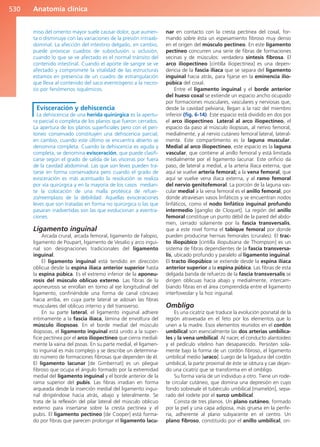 Anatomía Clínica Pró.pdf