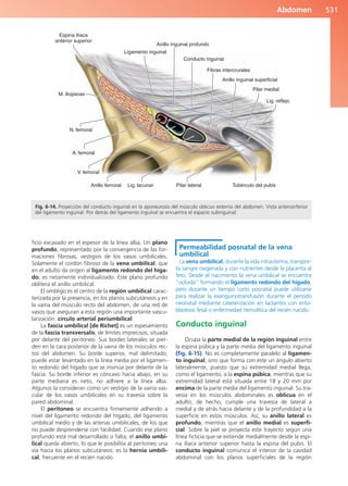 Anatomía Clínica Pró.pdf