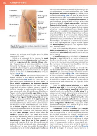 Anatomía Clínica Pró.pdf