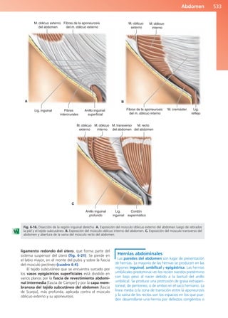 Anatomía Clínica Pró.pdf