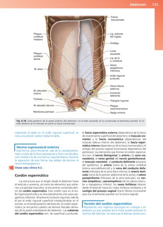 Anatomía Clínica Pró.pdf