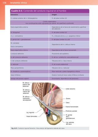 Anatomía Clínica Pró.pdf