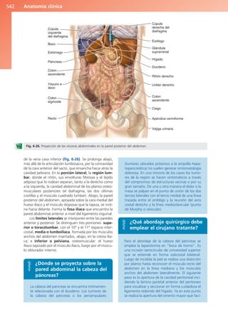 Anatomía Clínica Pró.pdf