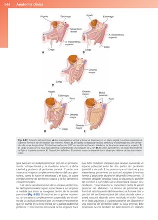 Anatomía Clínica Pró.pdf