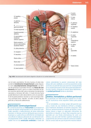 Anatomía Clínica Pró.pdf