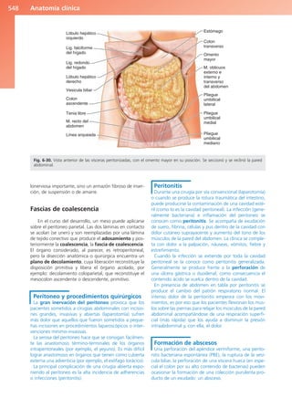 Anatomía Clínica Pró.pdf