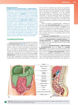 Anatomía Clínica Pró.pdf
