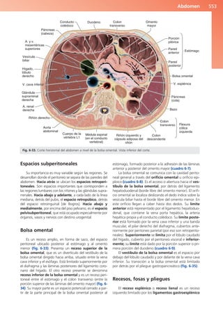 Anatomía Clínica Pró.pdf