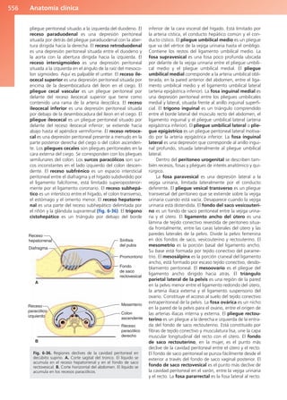 Anatomía Clínica Pró.pdf