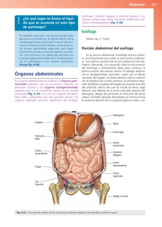 Anatomía Clínica Pró.pdf