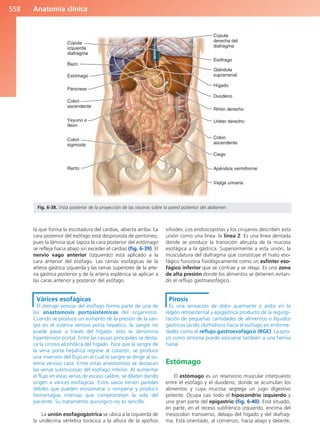 Anatomía Clínica Pró.pdf