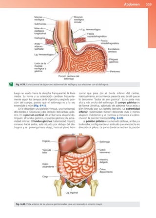 Anatomía Clínica Pró.pdf