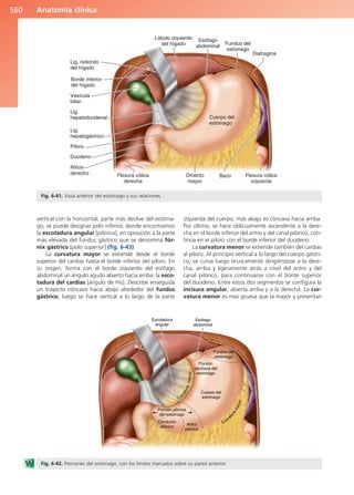 Anatomía Clínica Pró.pdf