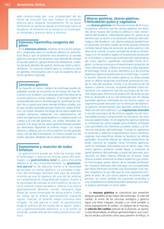 Anatomía Clínica Pró.pdf