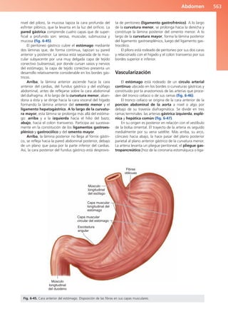 Anatomía Clínica Pró.pdf