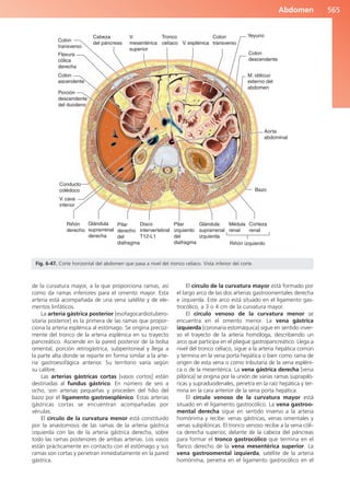 Anatomía Clínica Pró.pdf