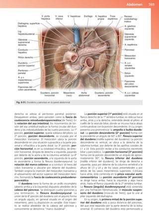 Anatomía Clínica Pró.pdf