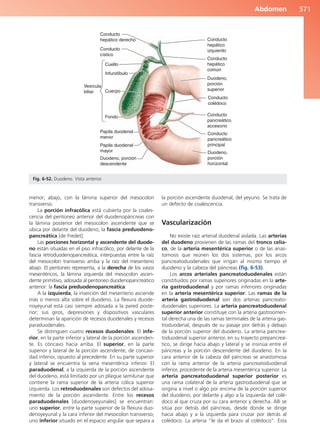 Anatomía Clínica Pró.pdf