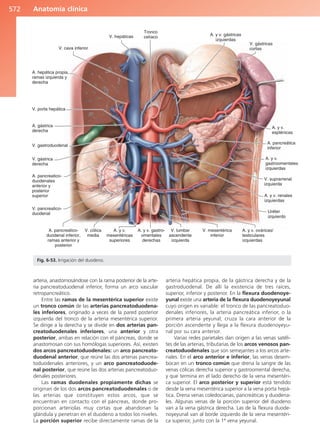 Anatomía Clínica Pró.pdf