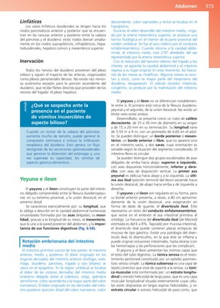 Anatomía Clínica Pró.pdf