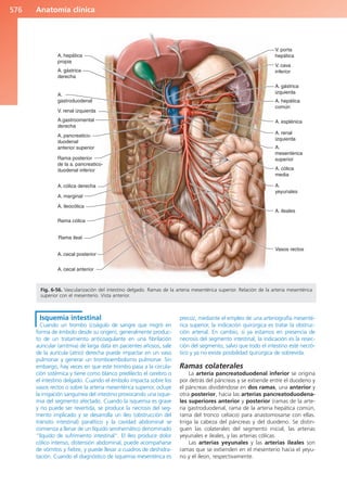 Anatomía Clínica Pró.pdf