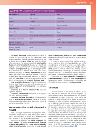 Anatomía Clínica Pró.pdf