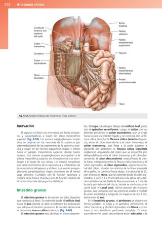 Anatomía Clínica Pró.pdf