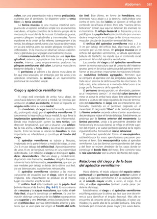 Anatomía Clínica Pró.pdf