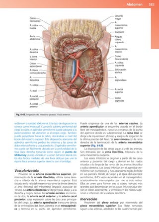 Anatomía Clínica Pró.pdf