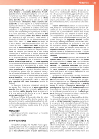 Anatomía Clínica Pró.pdf
