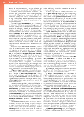 Anatomía Clínica Pró.pdf