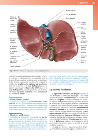 Anatomía Clínica Pró.pdf