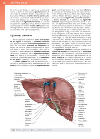 Anatomía Clínica Pró.pdf