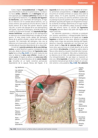 Anatomía Clínica Pró.pdf