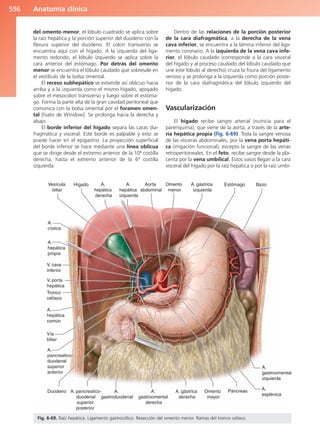 Anatomía Clínica Pró.pdf