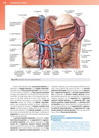 Anatomía Clínica Pró.pdf